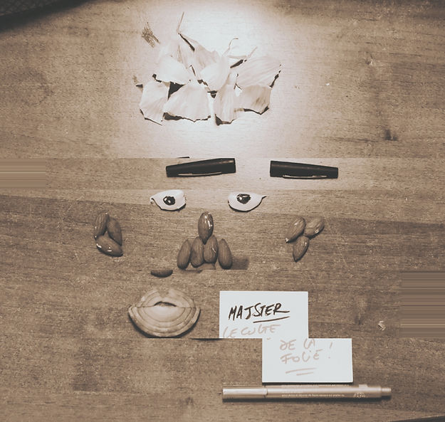 LES CULTES DE LA FOLIE - Livre PDF