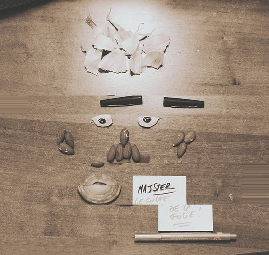 LES CULTES DE LA FOLIE - Livre PDF