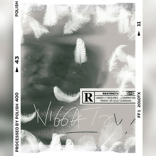NIGGATOV - Livre PDF (78 pages)